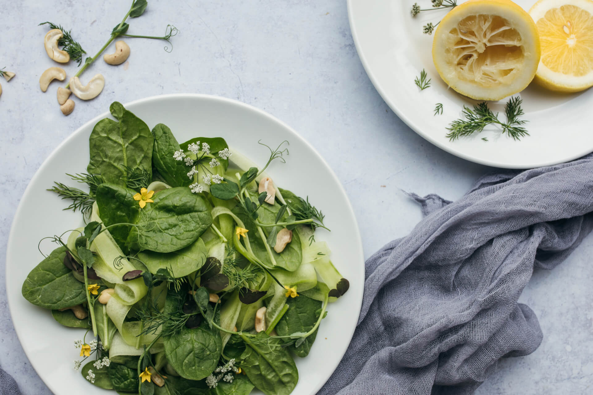Vegan Nutrition Health Coach Certification Vegan Nutrition Health Coach Certification