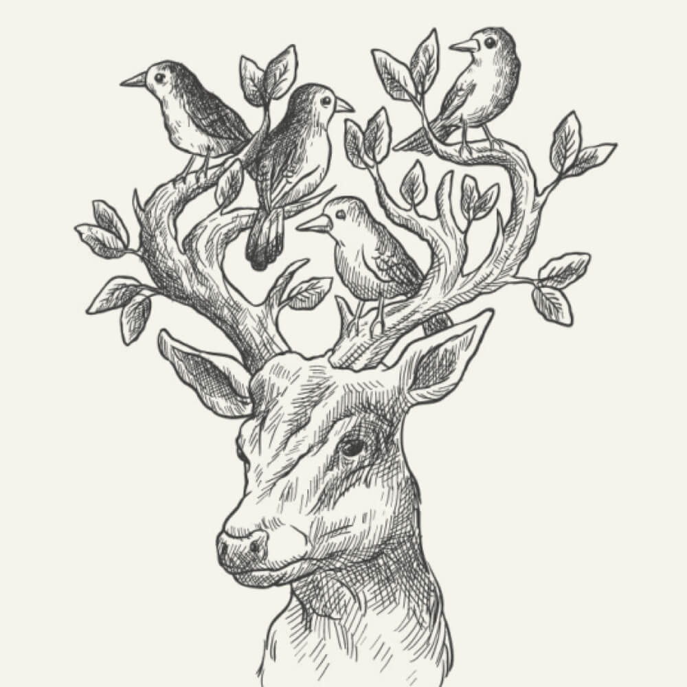Drawing and Shading: Complete Course Drawing and Shading: Complete Course